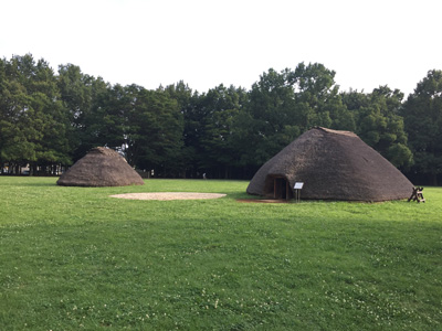 c0152274_1353924.jpg