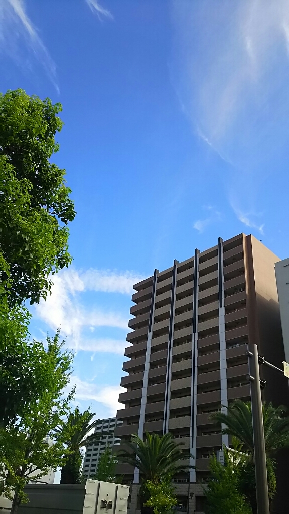 f0152875_07553772.jpg