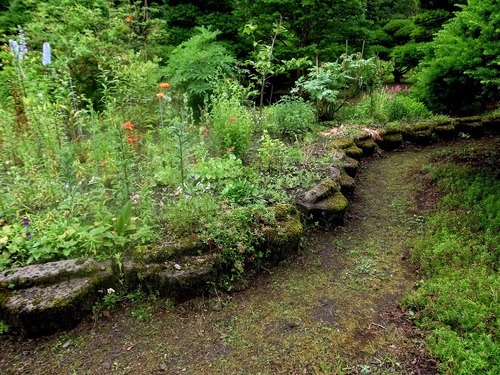 a0250179_17251351.jpg