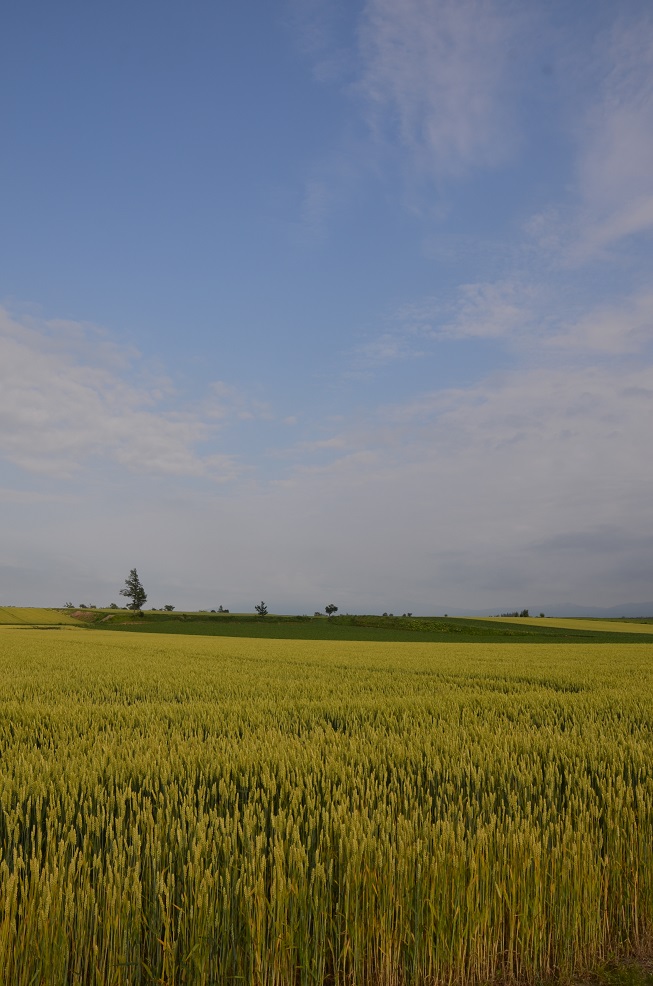 a0250179_932946.jpg