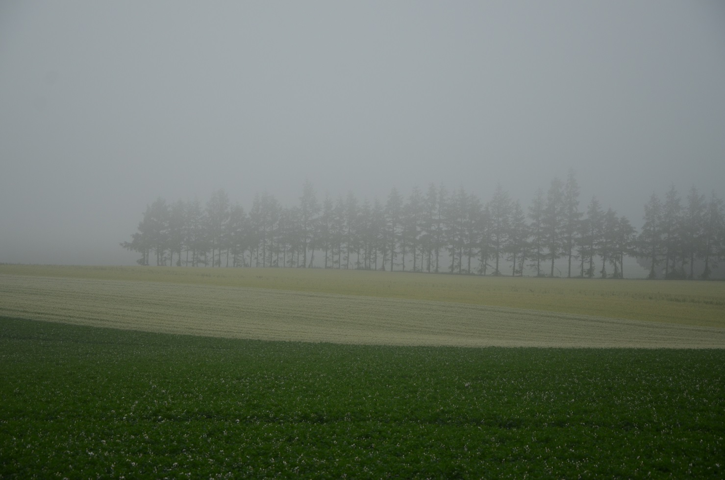 a0250179_945535.jpg