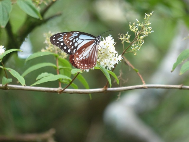 f0357487_20131427.jpg