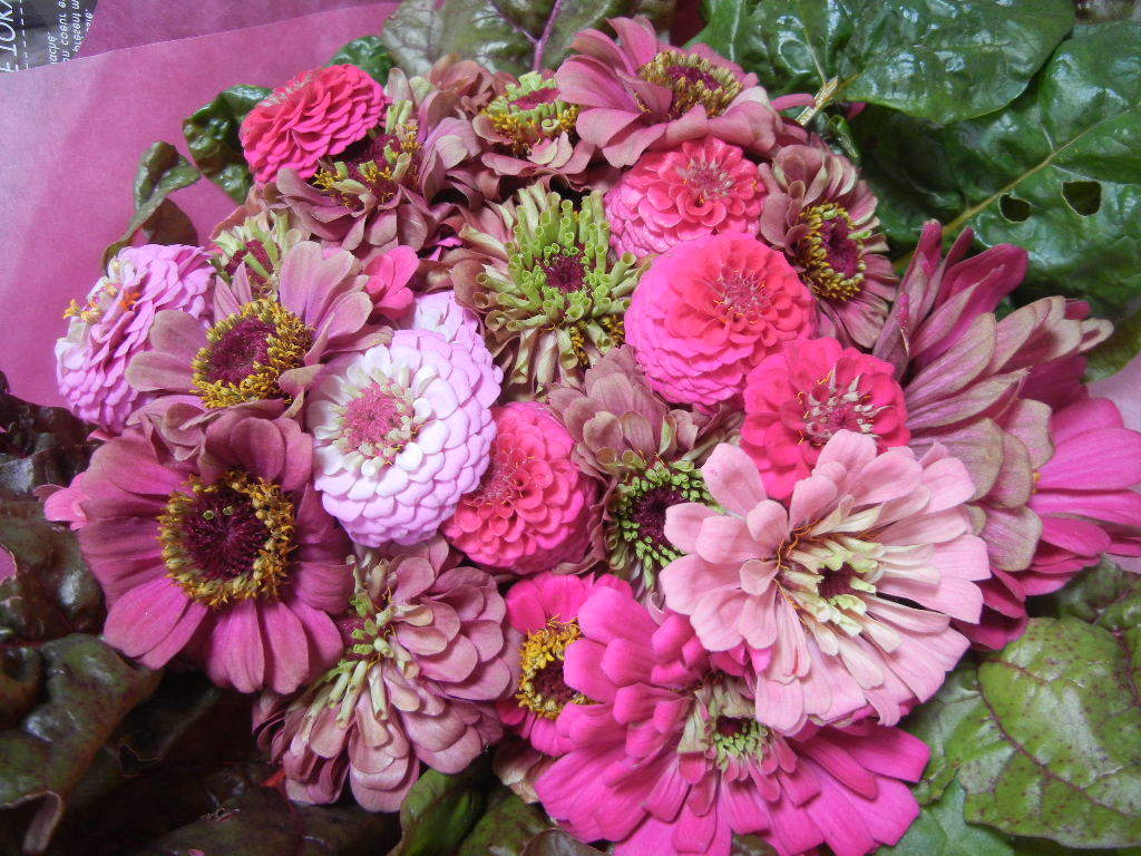 b0144891_17574489.jpg