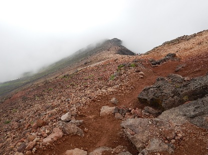 e0077899_892815.jpg
