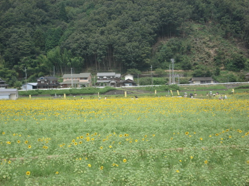 e0353802_14322428.jpg