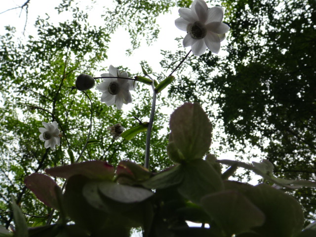 f0231709_33435.jpg
