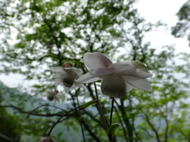 f0231709_3361269.jpg