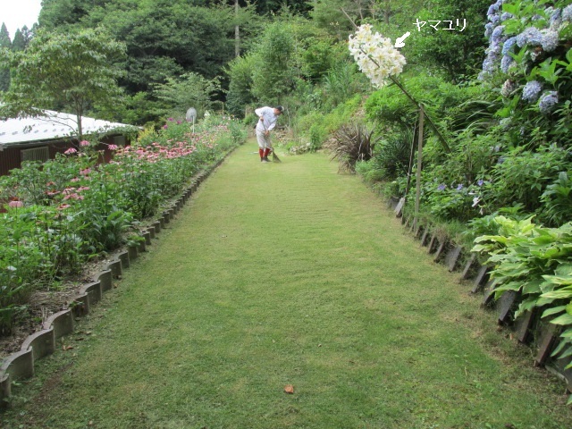 f0341616_15572837.jpg