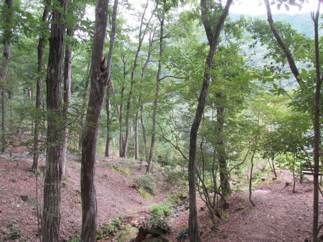 f0341616_16075261.jpg