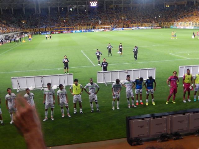 b0000829_8295356.jpg