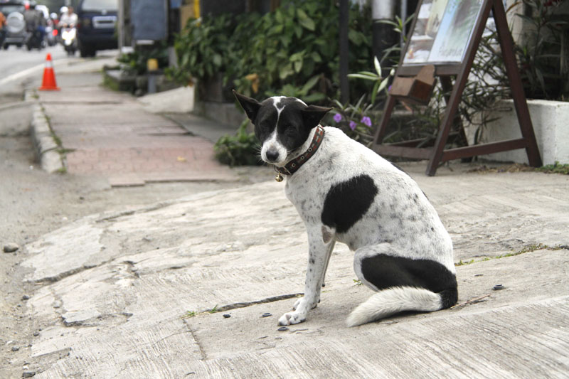 b0042837_13463799.jpg