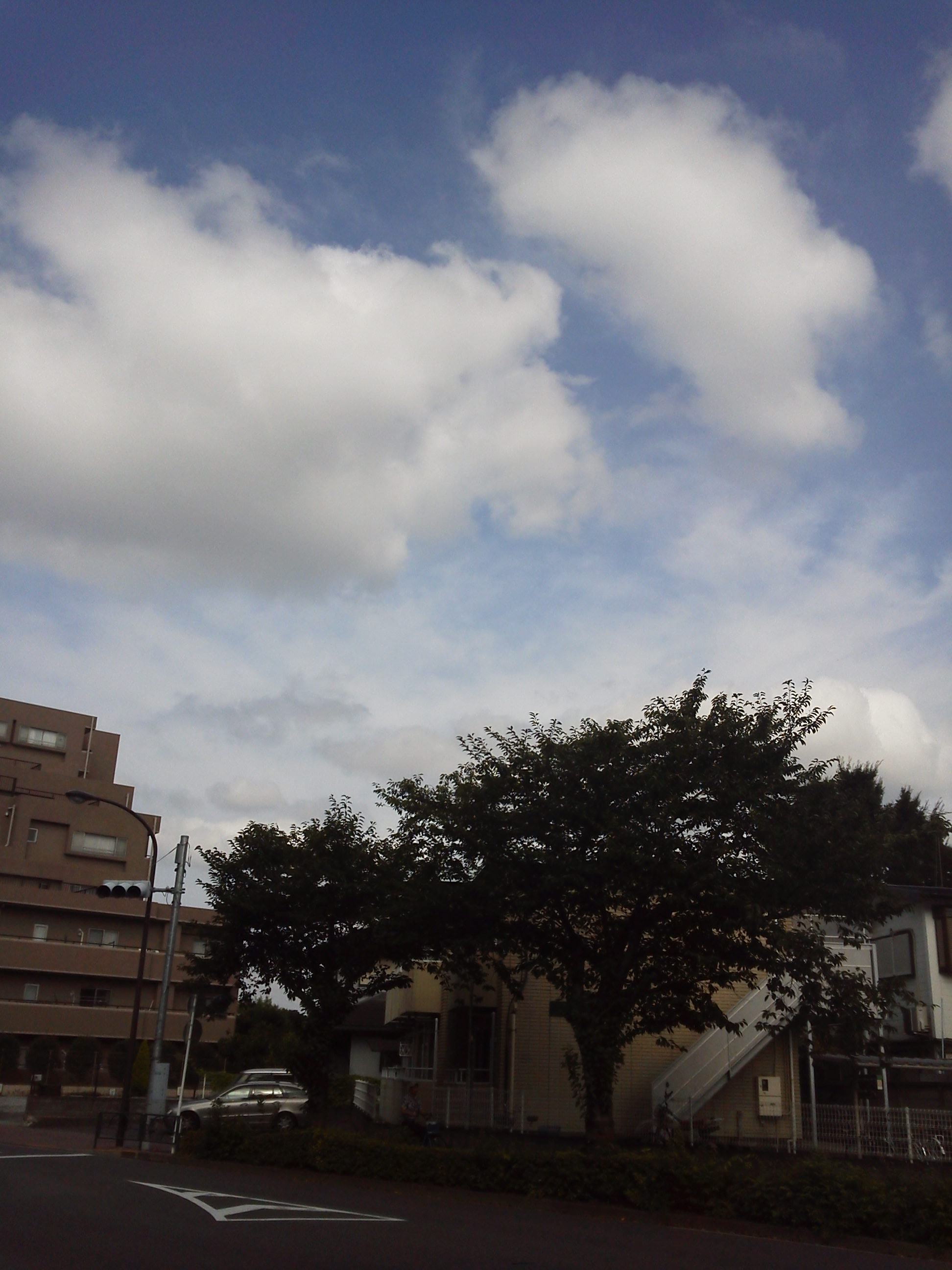 b0031140_1232284.jpg