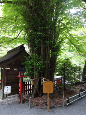 f0141840_01034229.jpg