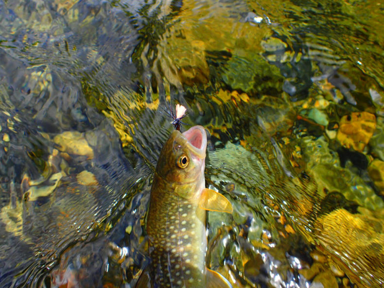 f0219441_16513337.jpg