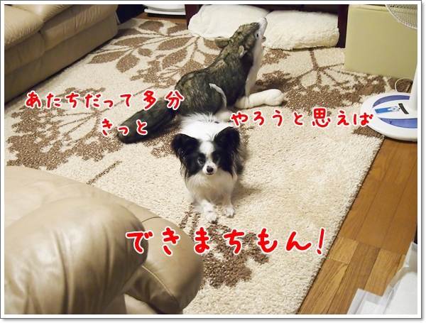 d0013149_00140316.jpg