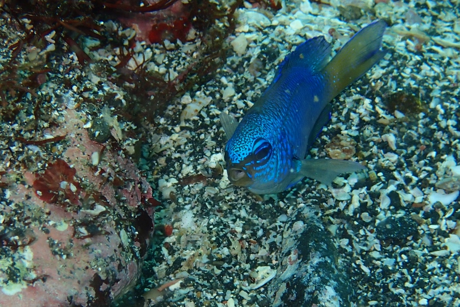 d0058549_18245410.jpg