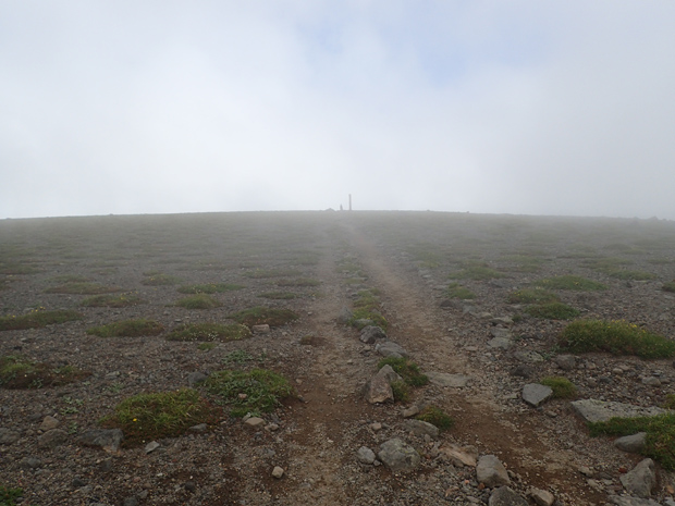 f0214649_21321789.jpg