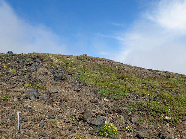 f0214649_84591.jpg