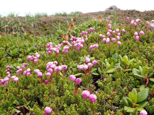 f0214649_917489.jpg