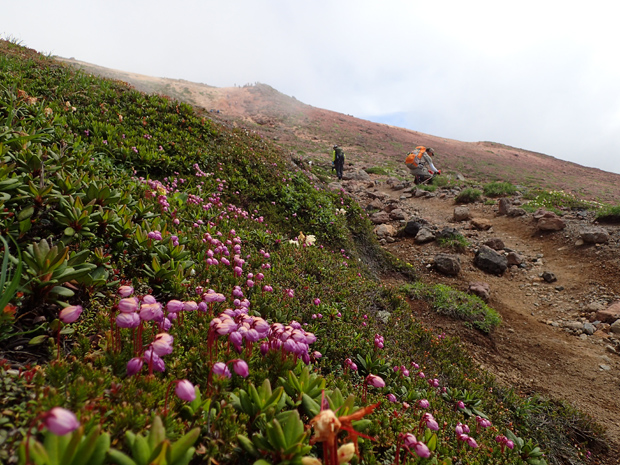 f0214649_9182831.jpg
