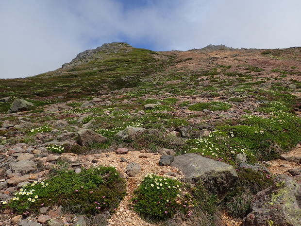 f0214649_9191881.jpg