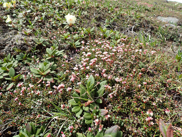 f0214649_992795.jpg