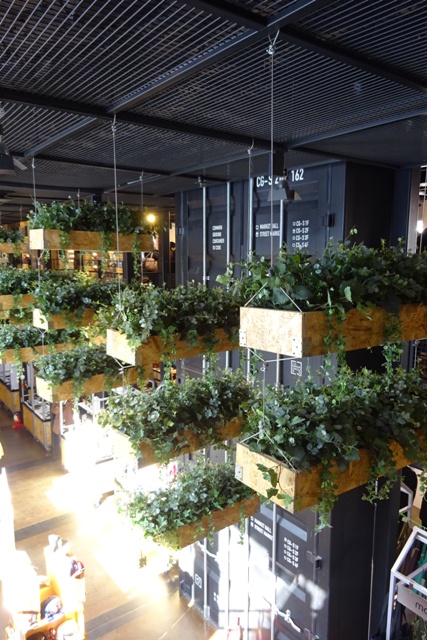 f0201054_20342625.jpg
