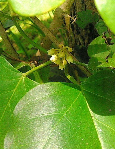 a0018655_11415031.jpg