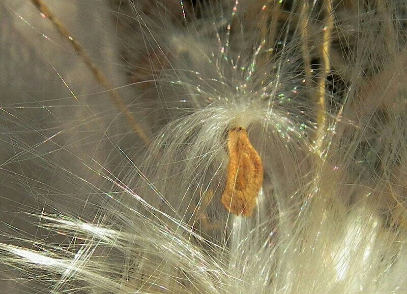 a0018655_11415866.jpg