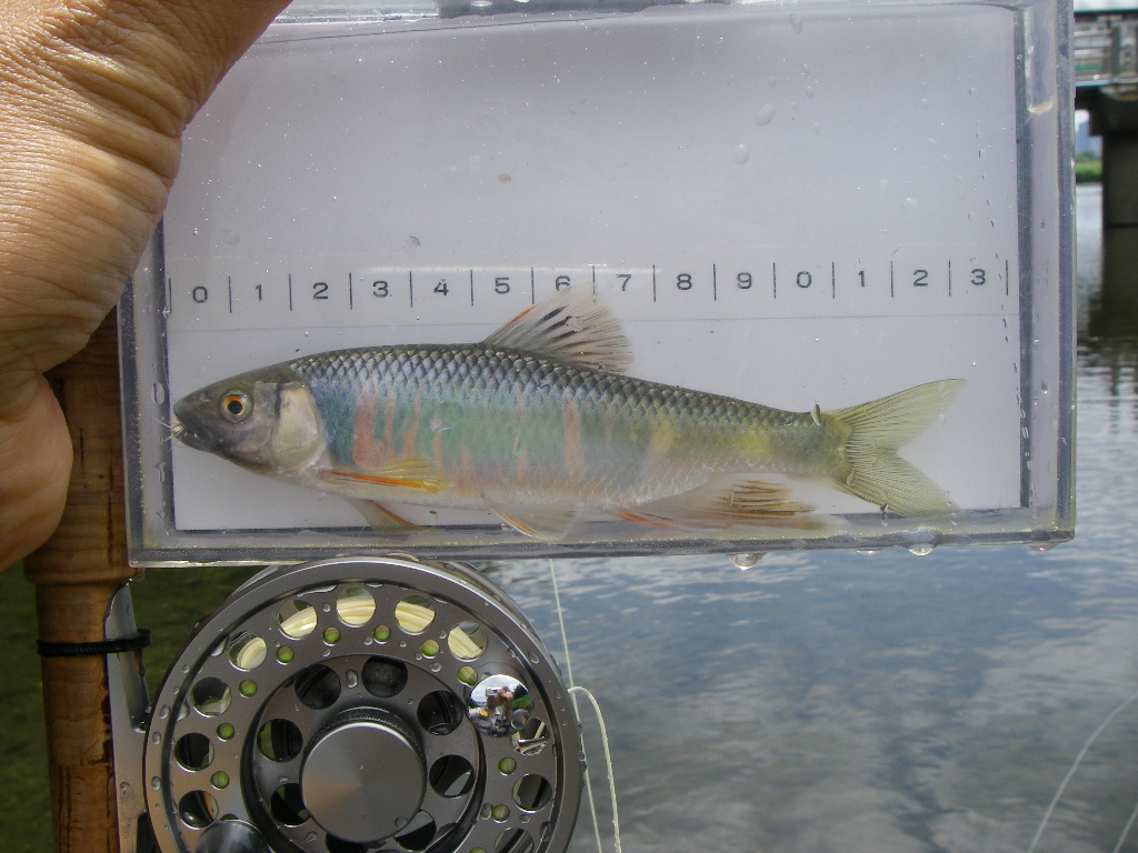 a0130057_22502359.jpg
