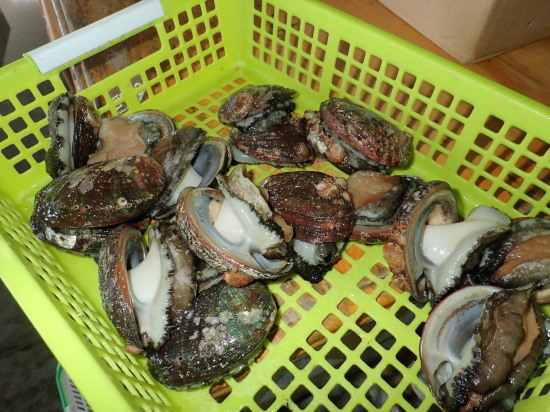 c0122670_20501047.jpg