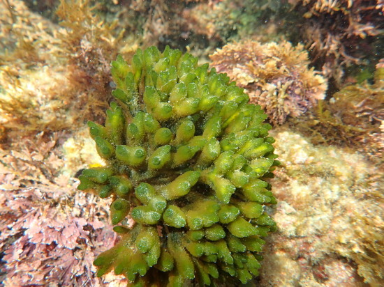 c0122670_21104151.jpg