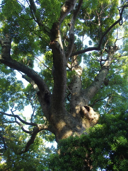 c0122670_22545802.jpg
