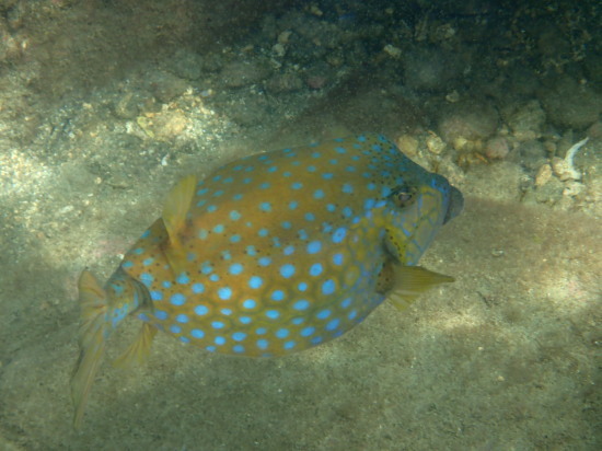 c0122670_23045924.jpg