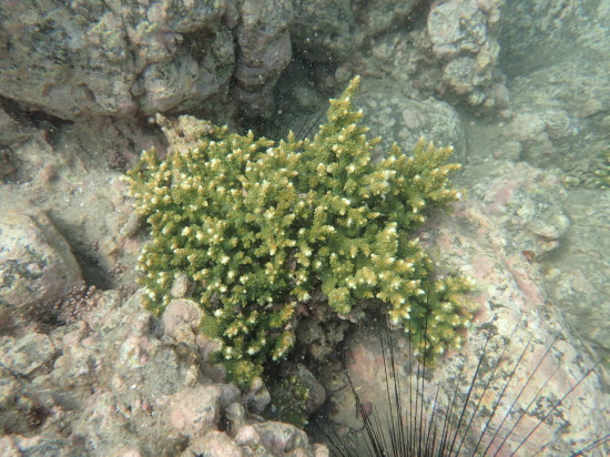 c0122670_23045952.jpg