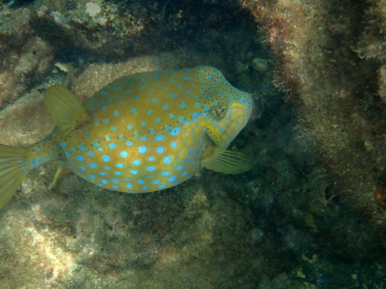 c0122670_23045986.jpg