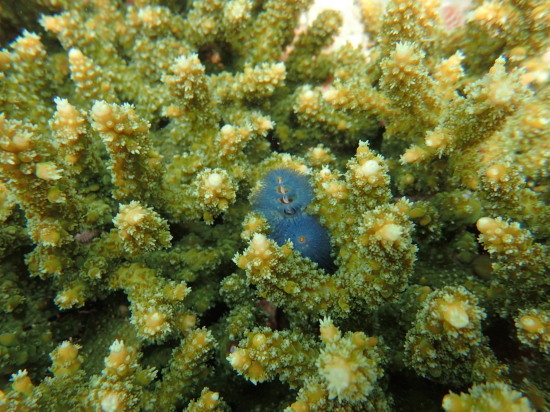 c0122670_23045996.jpg