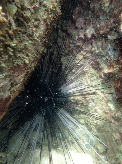 c0122670_23092982.jpg