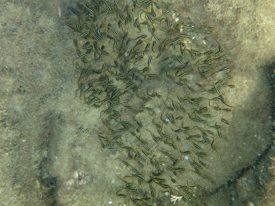 c0122670_23103005.jpg