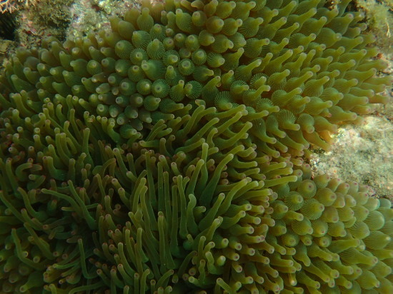 c0122670_23103118.jpg