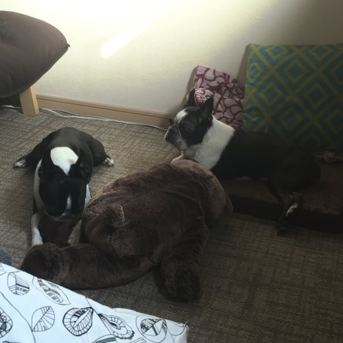 d0041575_21043131.jpeg