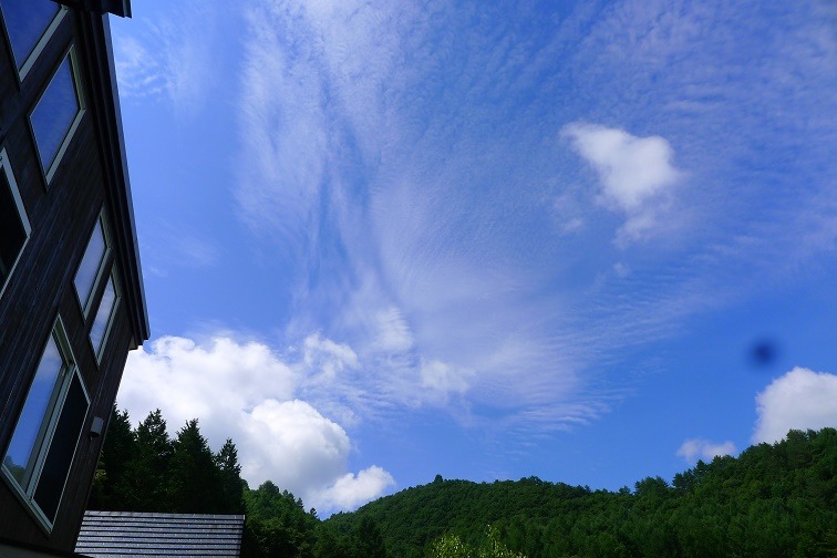 a0130586_100179.jpg