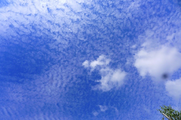 a0130586_1003522.jpg