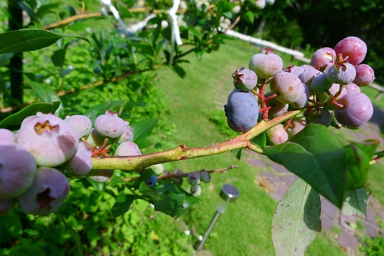 a0130586_1061374.jpg
