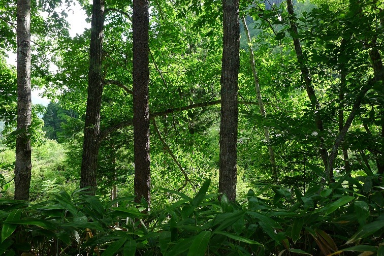 a0130586_9491166.jpg