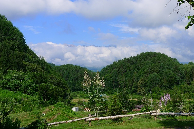 a0130586_9555992.jpg
