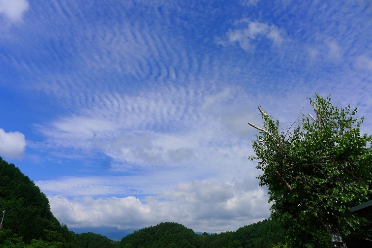 a0130586_9593319.jpg