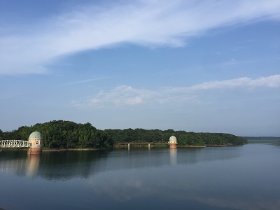a0134004_21132628.jpg