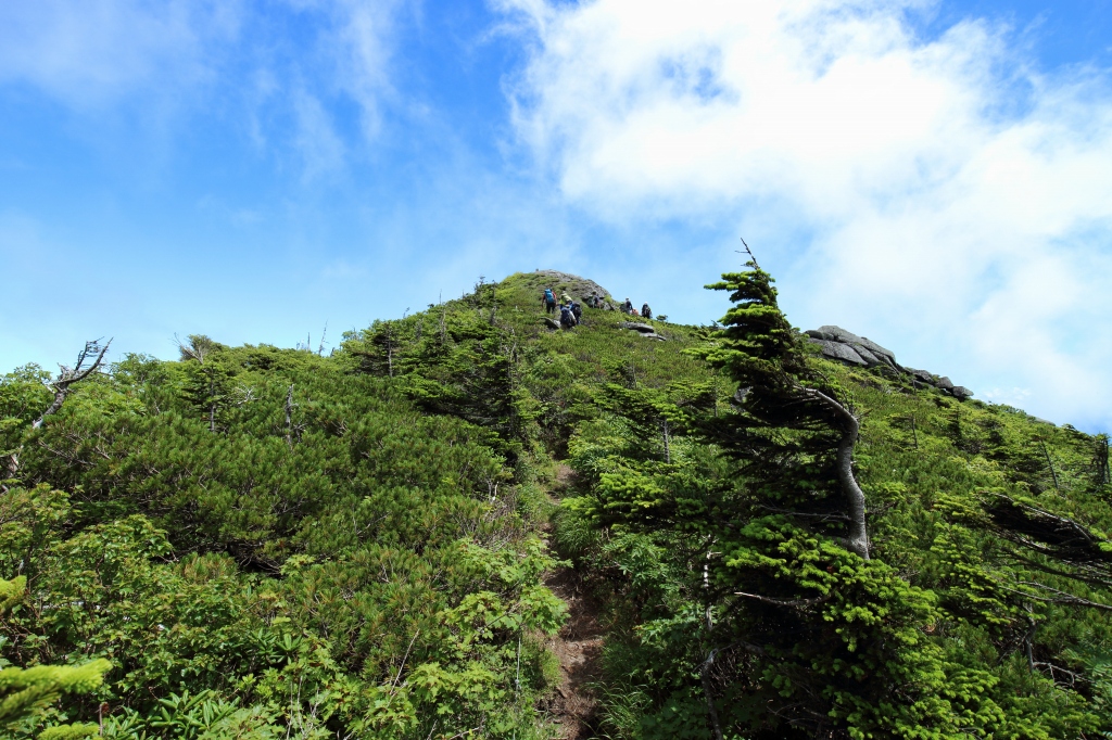 b0050305_20154752.jpg