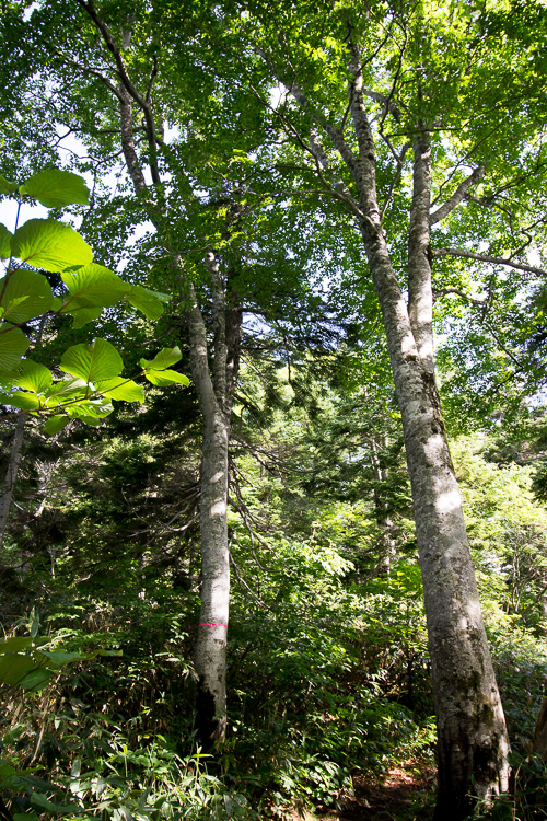 b0244811_22423878.jpg